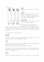 [체육]볼링에 관하여-9