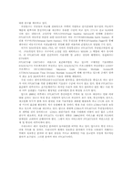 [컴공] imt2000과 wap-9