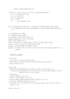[컴공]도스 명령어와 사용법-2