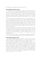 노인간호학 개발을 위한 전략-5