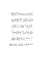 미술과교육의 동향과 수업방법-15