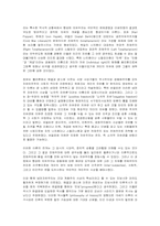 유교의 세계화 레포트-8
