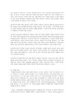 현대미술에 있어 타자(the Other)의 문제-3