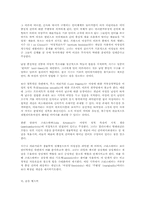 현대미술에 있어 타자(the Other)의 문제-6