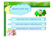 [아동교육론] 5-7세의 유아를 대상으로 한 생태유아교육과정(년간, 월간, 주간계획안)-9