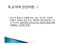 [교육철학] 페스탈로치-16
