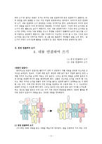 [국어교수학습론] 국어 쓰기 영역의 단원 대안 -중학교 2학년 1학기 `4. 내용 구성하여 쓰기`-2