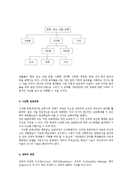[수학교육론] 제 7장 인지 발달 단계 이론과 수학 학습-12