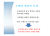 브랜드캠페인 레포트-6