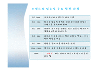 브랜드캠페인 레포트-8