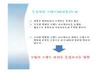 브랜드캠페인 레포트-11