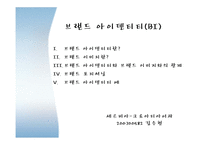 브랜드캠페인 레포트-14