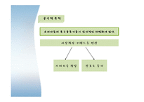 브랜드캠페인 레포트-17