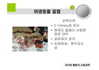 자치와 협동의 사회과학-7