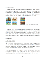 [국제커뮤니케이션] 닌텐도 DS 광고전략-9
