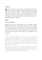 [국제커뮤니케이션] 닌텐도 DS 광고전략-11