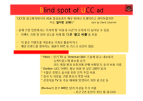 [광고학] UCC와 광고 캠페인에 관한 고찰-15
