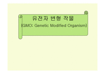 유전자 변형 작물(GMO)-1