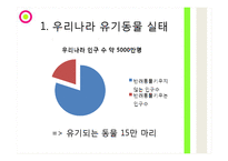 유기동물 피해사례와 심각성-3