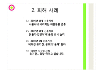 유기동물 피해사례와 심각성-4