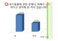 유기동물 피해사례와 심각성-6