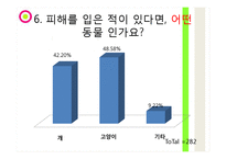 유기동물 피해사례와 심각성-10