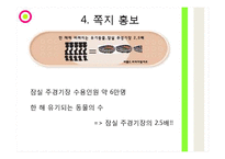 유기동물 피해사례와 심각성-15
