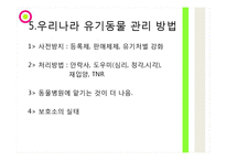 유기동물 피해사례와 심각성-18