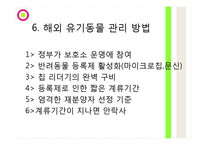 유기동물 피해사례와 심각성-19