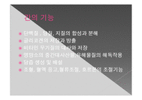 간질환과 식이요법-4