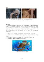 [영상] 특수효과 CG 기법과 영화의 미래-12