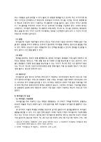 싸이월드 미니홈피의 성공과 문제점-3