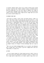 싸이월드 미니홈피의 성공과 문제점-7