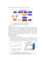 [지구환경] 식량위기의 원인과 해결 방안 모색-3