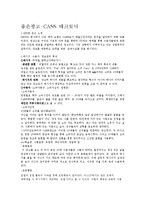 [현행방송광고의 설득메시지분석] 좋은광고-CASS 테크토닉-2