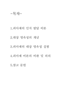 [심리학] 피아제의 인지 발달 이론-2