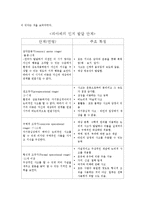 [심리학] 피아제의 인지 발달 이론-5