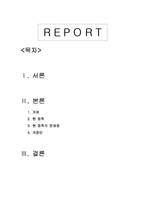 [정책학] 비정규직 정책-1