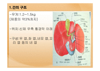 [건강관리] 간질환의 모든 것-3