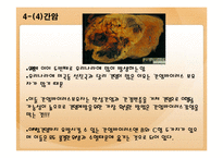 [건강관리] 간질환의 모든 것-20