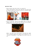 [색채학] 주황색-7