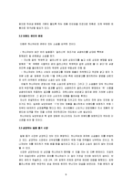 [국제경영] 락앤락 하나코비의 글로벌 광고 전략-8