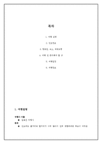 [인터넷 비즈니스] 인도 여행상품 계획서-2