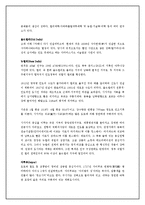 [인터넷 비즈니스] 인도 여행상품 계획서-14