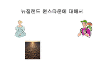 [관광마케팅] 퀸즈타운 레저스포츠 마케팅-5