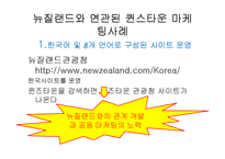 [관광마케팅] 퀸즈타운 레저스포츠 마케팅-18