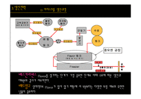 [생산관리] 베스킨라빈스 vs 레드망고 기업사례 분석-10