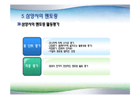 [조직행위] 삼양사의 멘토링 제도 사례 연구-19