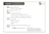 [경영정보시스템] CJ 그룹포탈 및 eHR system-4