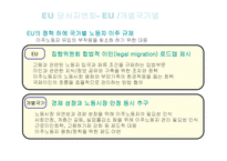 [노사관계] 유럽연합의 일자리문제-17